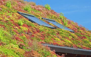 Crookedholm living roof systems